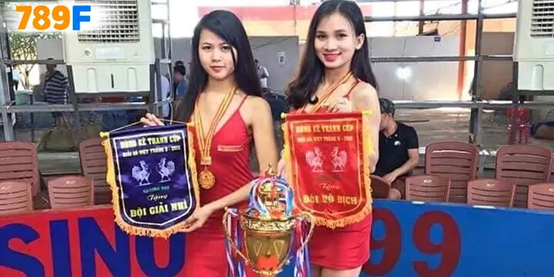 Đá Gà C2 – Sảnh Đấu Gay Cấn Từng Giây Trên Mỗi Trận Đấu